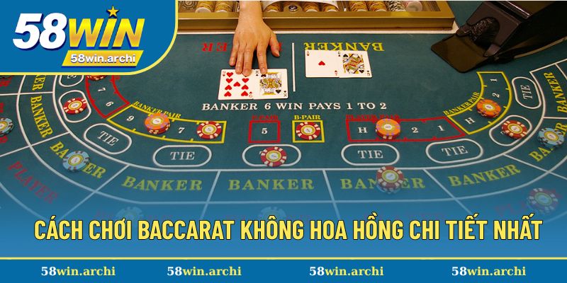 Cách chơi baccarat không hoa hồng chi tiết nhất