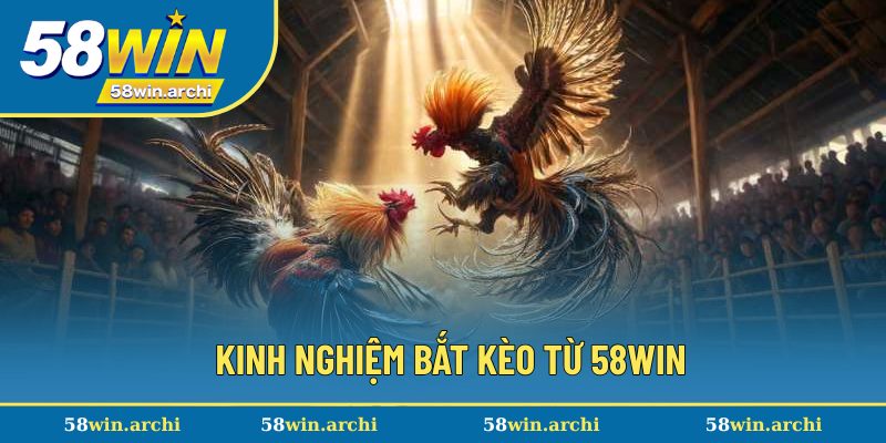 Kinh nghiệm bắt kèo từ 58win