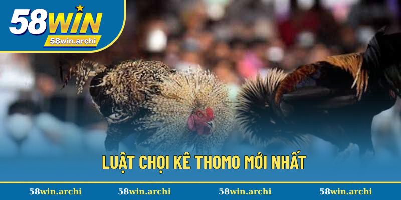 Luật chọi kê Thomo mới nhất