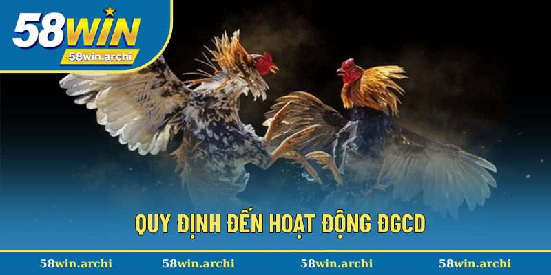 Quy định đến hoạt động ĐGCD