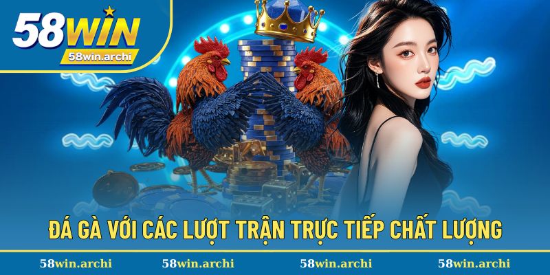 Xem trực tiếp các trận đá gà kịch tính