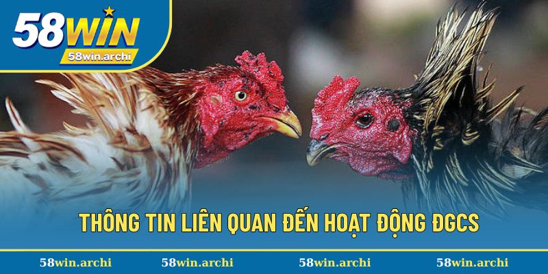 Thông tin liên quan đến hoạt động ĐGCS