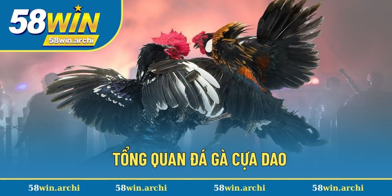 Tổng quan đá gà cựa dao
