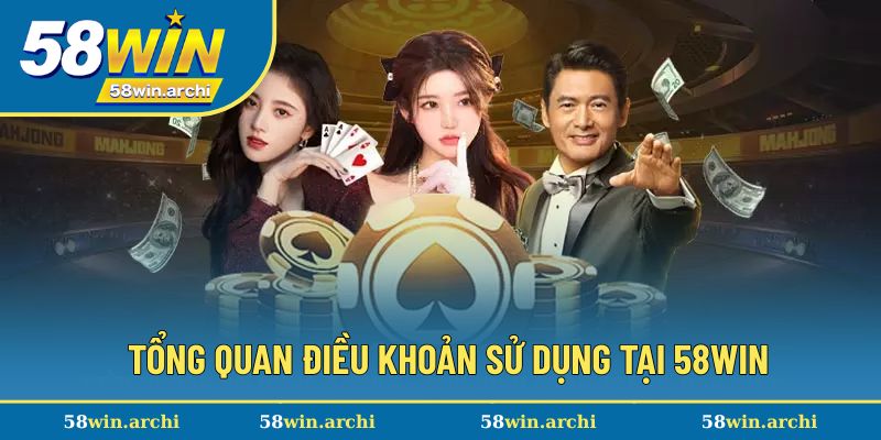 Tổng quan chính sách điều khoản quy định trong sử dụng